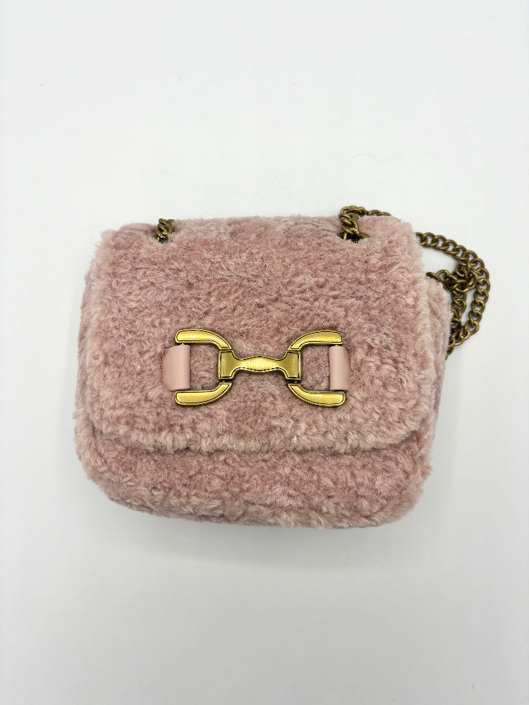 Teddy Bag rose